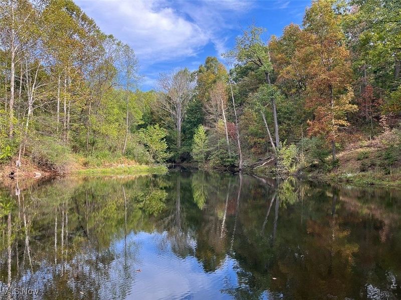 21995 Harrons Ridge Road, Dexter City, OH 45727 Photo 28