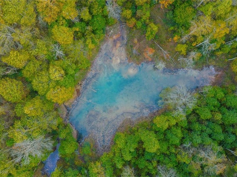 21995 Harrons Ridge Road, Dexter City, OH 45727 Photo 5