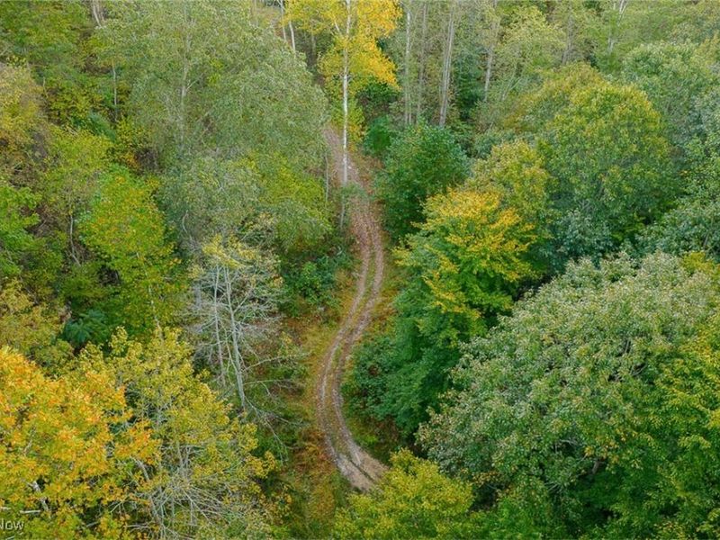 21995 Harrons Ridge Road, Dexter City, OH 45727 Photo 8