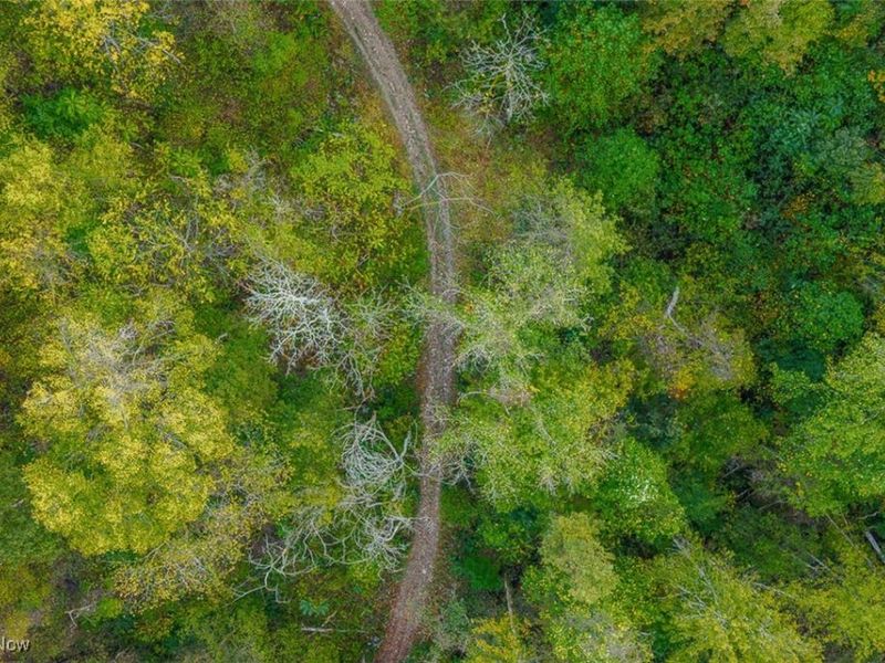 21995 Harrons Ridge Road, Dexter City, OH 45727 Photo 9