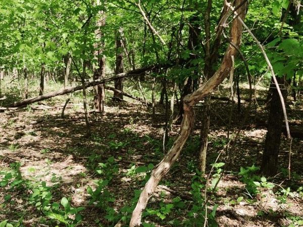 0 Coburntown (Lot 11) Road, South Pittsburg, TN 37380