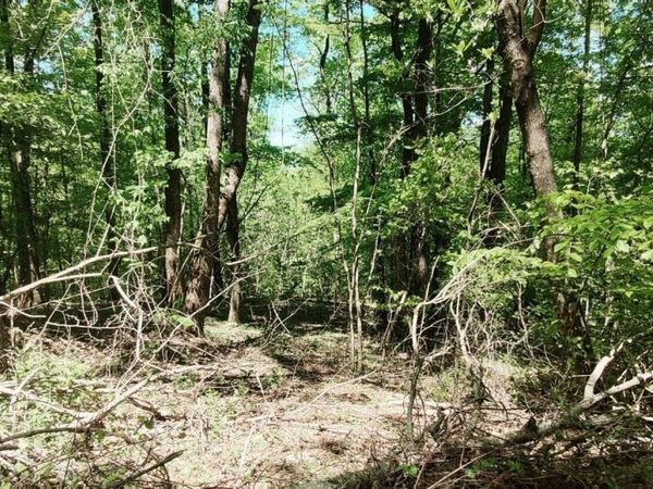 0 Coburntown (Lot 13) Road, South Pittsburg, TN 37380