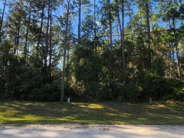 TBD Bowfin Dr, Palatka, FL 32177