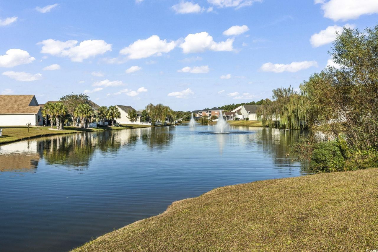 308 Freshwater Ct. Photo 30