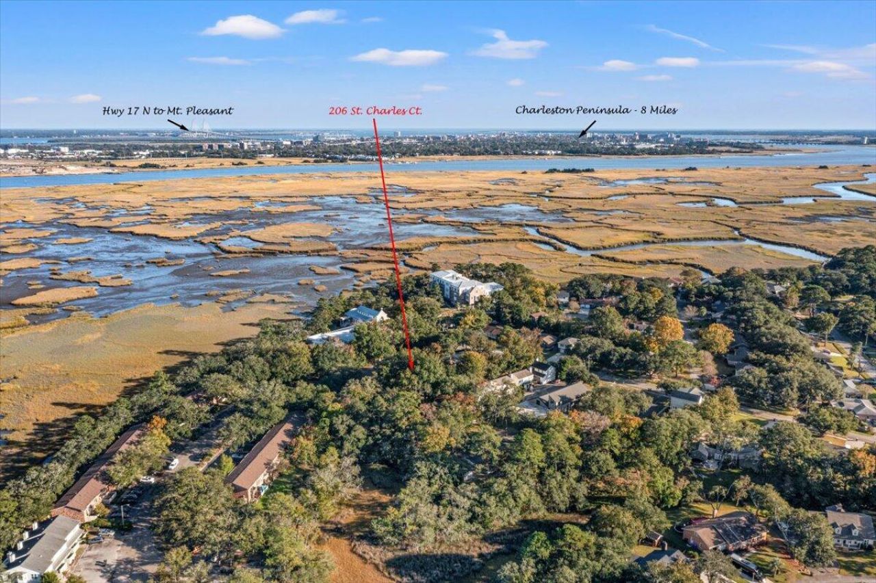 206 St Charles Court Photo 37