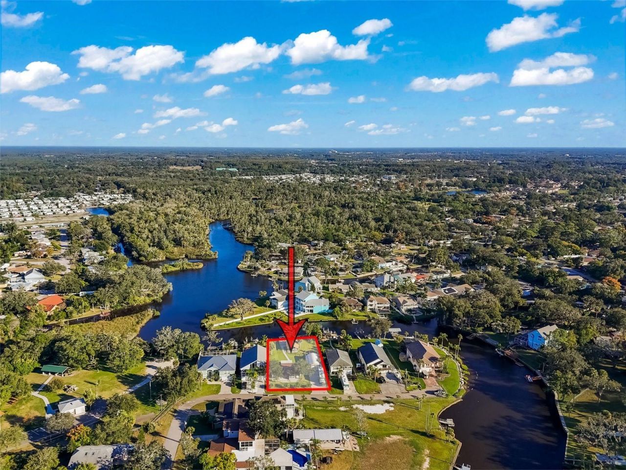 5560 Frances Avenue, New Port Richey, FL 34653 Photo