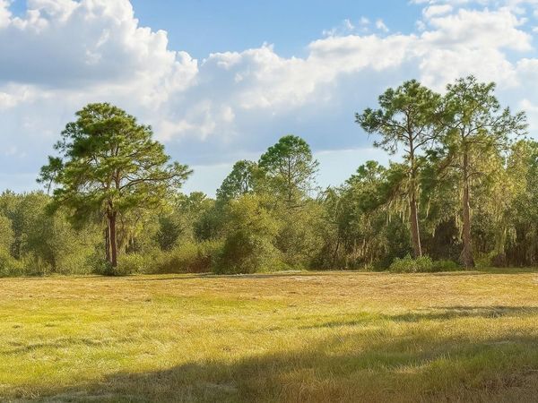 1205-1209 W ALEXANDER STREET, PLANT CITY, FL 33563