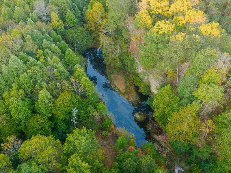 21995 Harrons Ridge Road, Dexter City, OH 45727 Photo 22