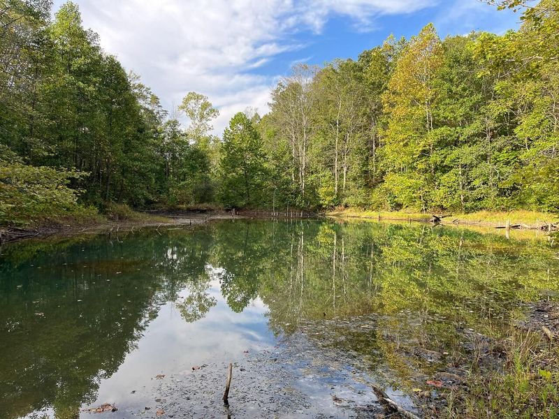 21995 Harrons Ridge Road, Dexter City, OH 45727 Photo 24