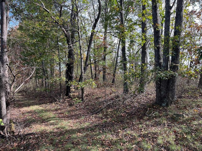 21995 Harrons Ridge Road, Dexter City, OH 45727 Photo 26