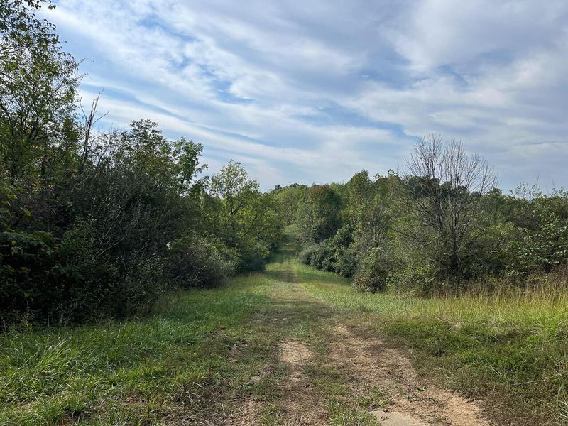 21995 Harrons Ridge Road, Dexter City, OH 45727 Photo 27