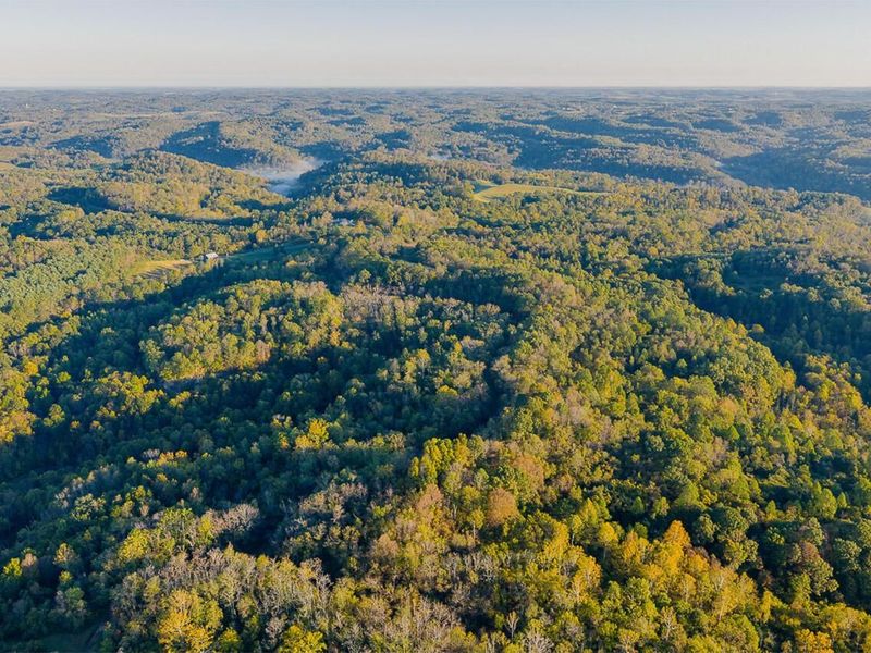 21995 Harrons Ridge Road, Dexter City, OH 45727 Photo 3