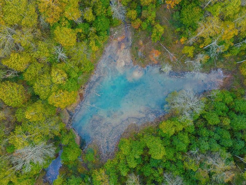 21995 Harrons Ridge Road, Dexter City, OH 45727 Photo 5