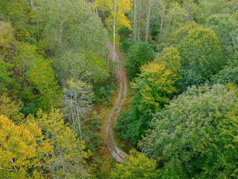 21995 Harrons Ridge Road, Dexter City, OH 45727 Photo 8