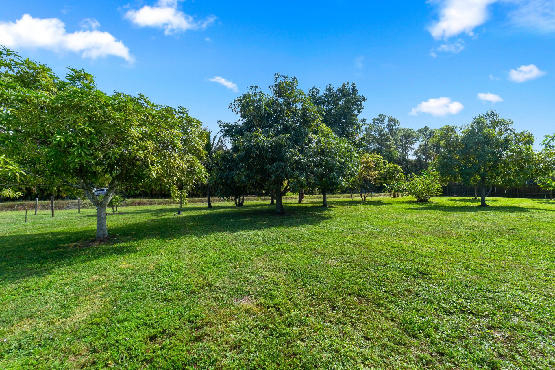 15742 75th Lane N, Loxahatchee, FL 33470 Photo