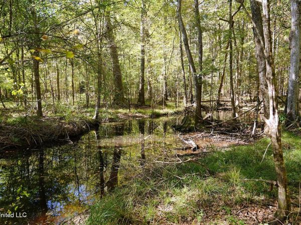 0 SW Jackson Liberty Drive, Smithdale, MS 39664