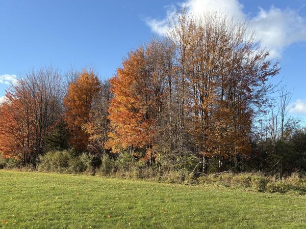 2930 S Blue Star Highway, Douglas, MI 49406