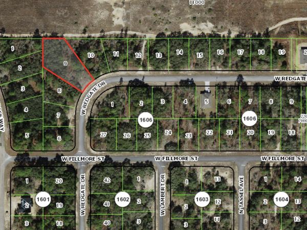 3051 W Redgate Drive, Citrus Springs, FL 34433