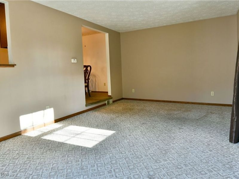 1760 Dumont Drive, Mineral Ridge, OH 44440 Photo 19