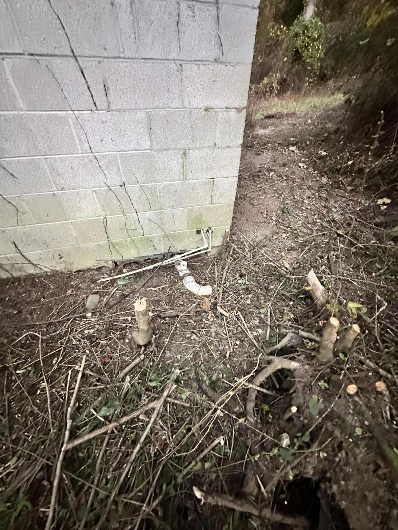 3185 Highway 45 Photo 8