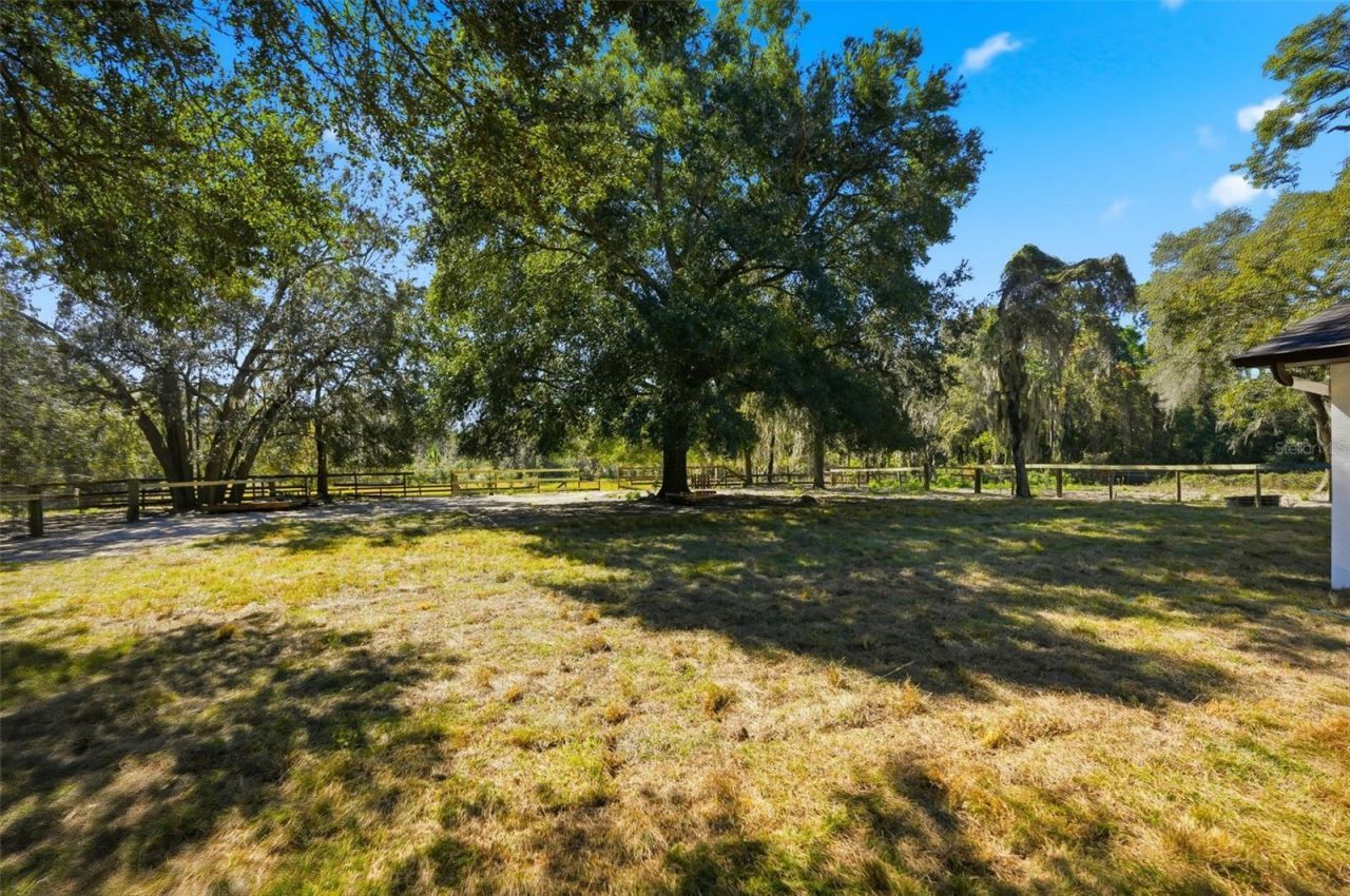 14100 Olympic Village Lane, Brooksville, FL 34614 Photo