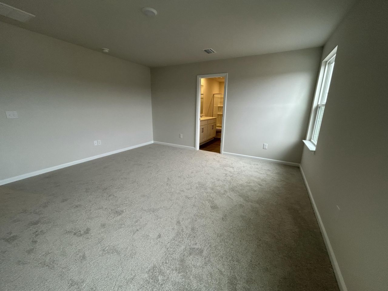 4037 Lemon Grass Lane Photo 21