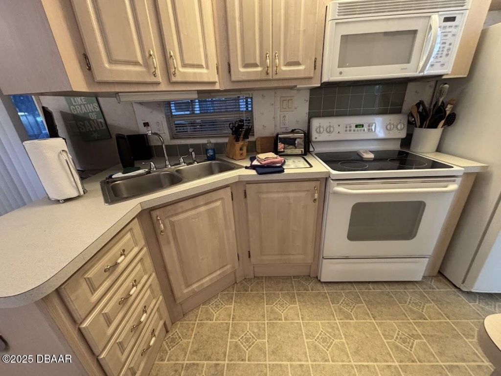 25293 NE 139th (lot 285) Lane, Salt Springs, FL 32134 Photo