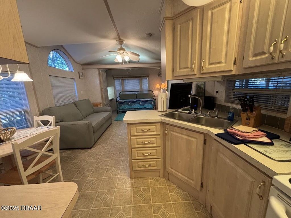 25293 NE 139th (lot 285) Lane, Salt Springs, FL 32134 Photo