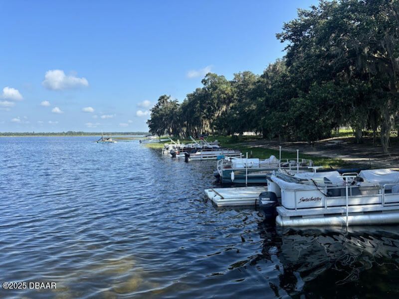 25293 NE 139th (lot 285) Lane, Salt Springs, FL 32134 Photo