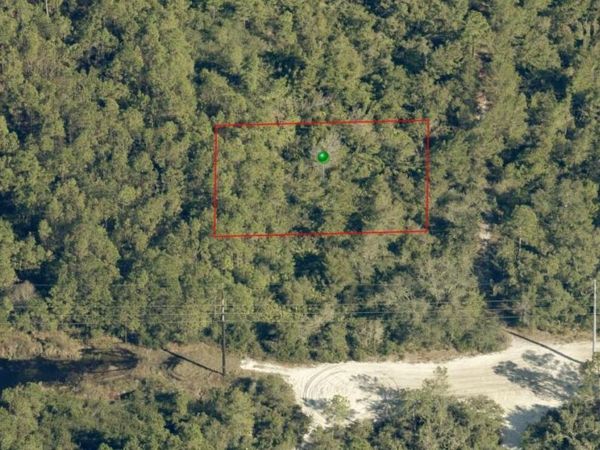 0 Plumosus Terrace, DeLand, FL 32724