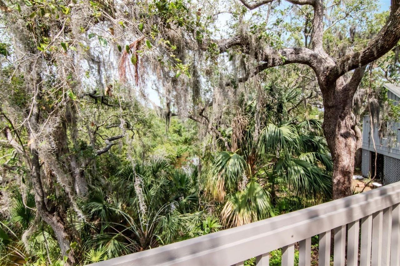 1296 Weybridge Lane, Dunedin, FL 34698 Photo