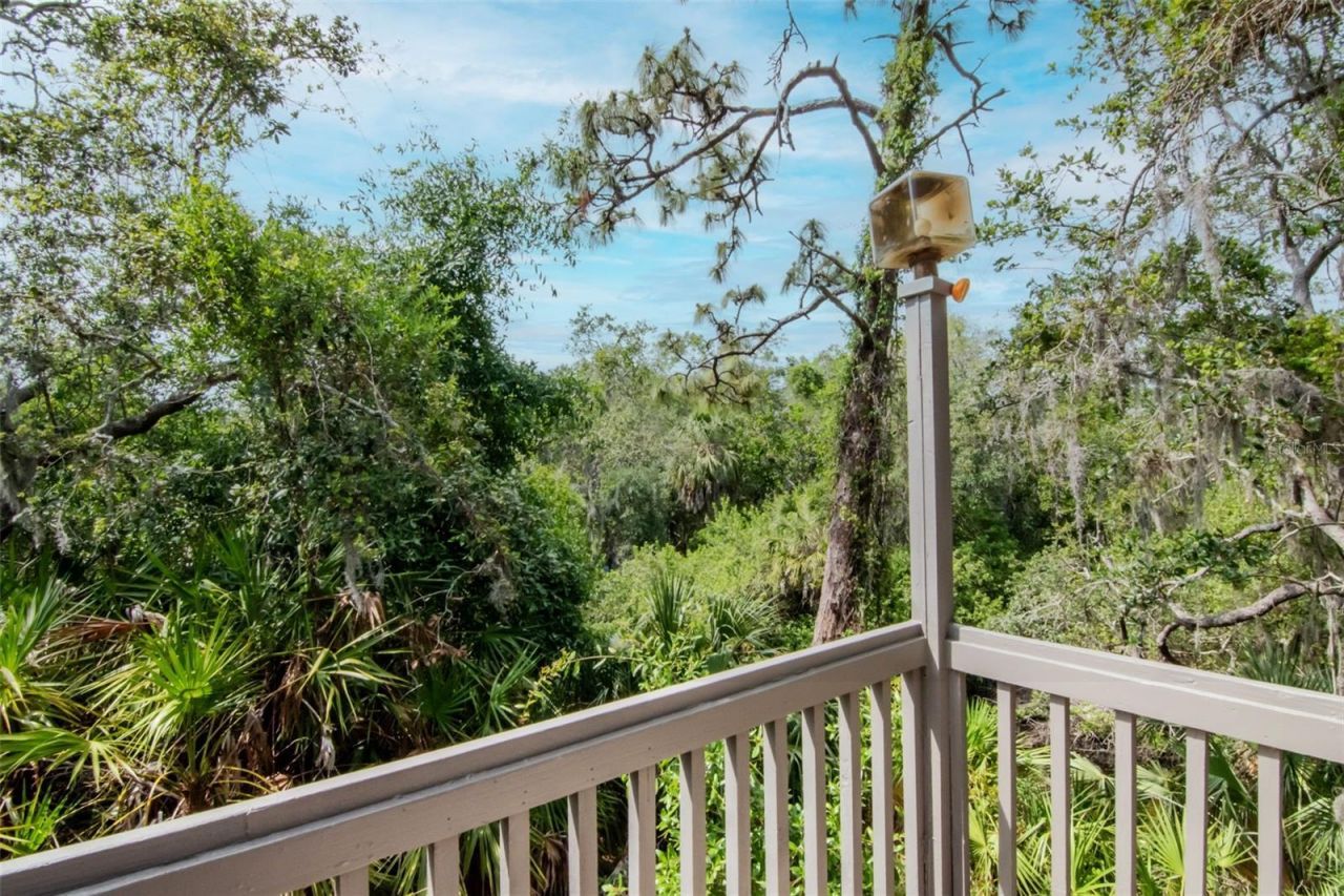 1296 Weybridge Lane, Dunedin, FL 34698 Photo