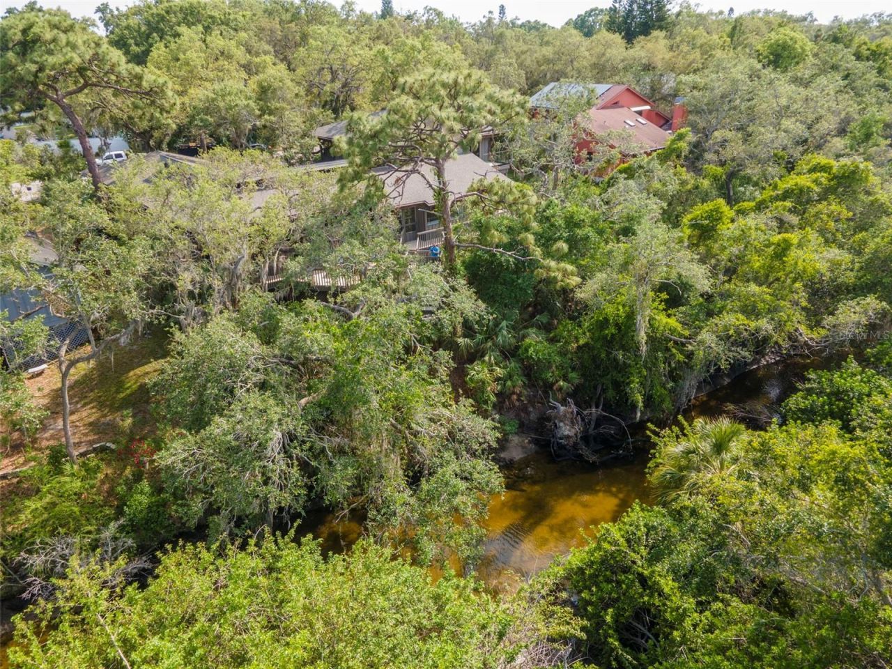 1296 Weybridge Lane, Dunedin, FL 34698 Photo