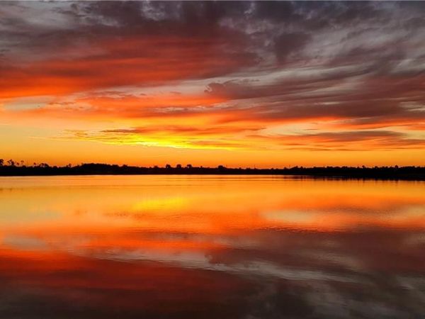 16391 Bonita Landing CIR, BONITA SPRINGS, FL 34135