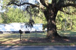 3320 French Santee Road photo 4