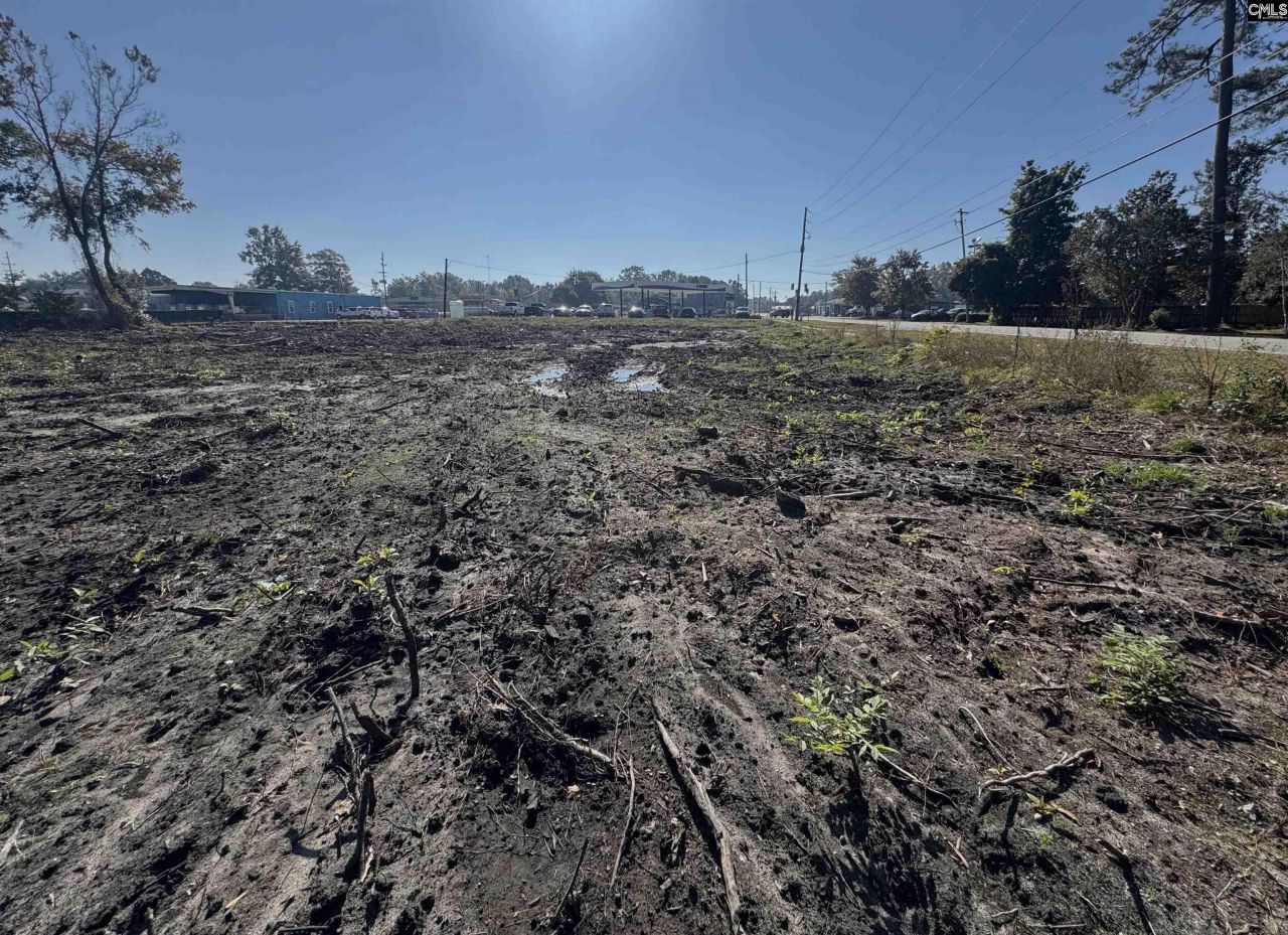 208 Mitchell Street Photo 5