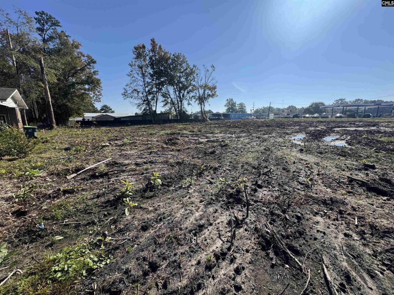 208 Mitchell Street Photo 6