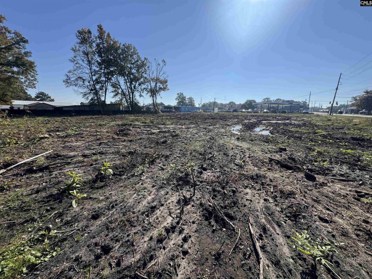 208 Mitchell Street Photo 7