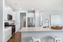 1078 Red Turnstone Run photo 4