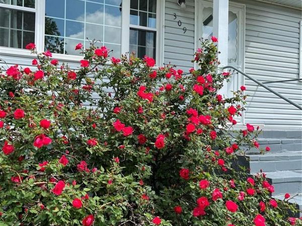 309 Central Avenue, Marble Hill, MO 63764