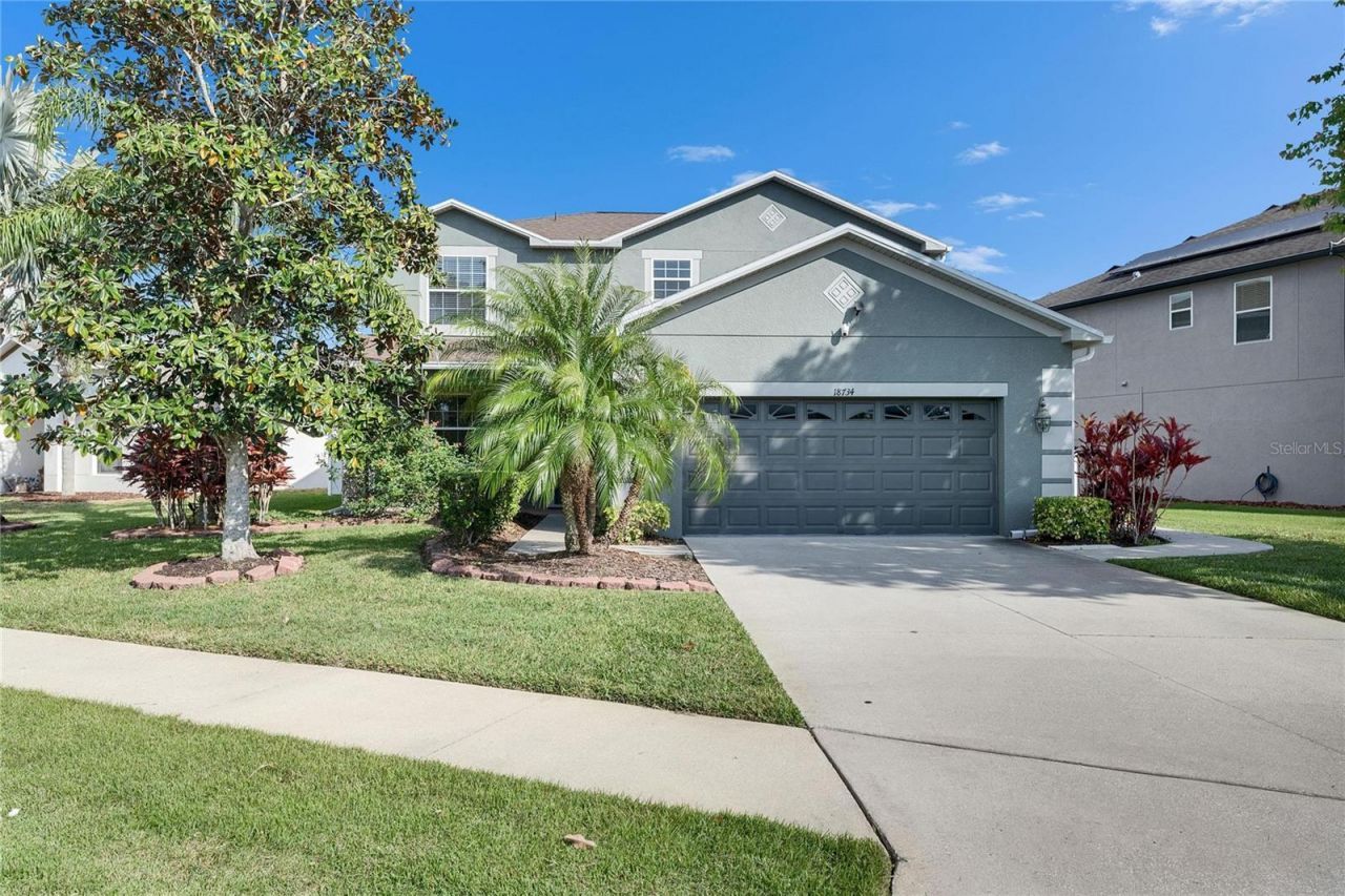 18734 Burndall Court, Land O Lakes, FL 34638 Main Photo