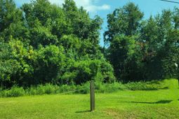 9387 Old Number Six Highway photo 4