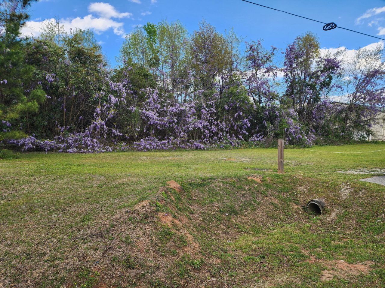 9387 Old Number Six Highway Photo 4