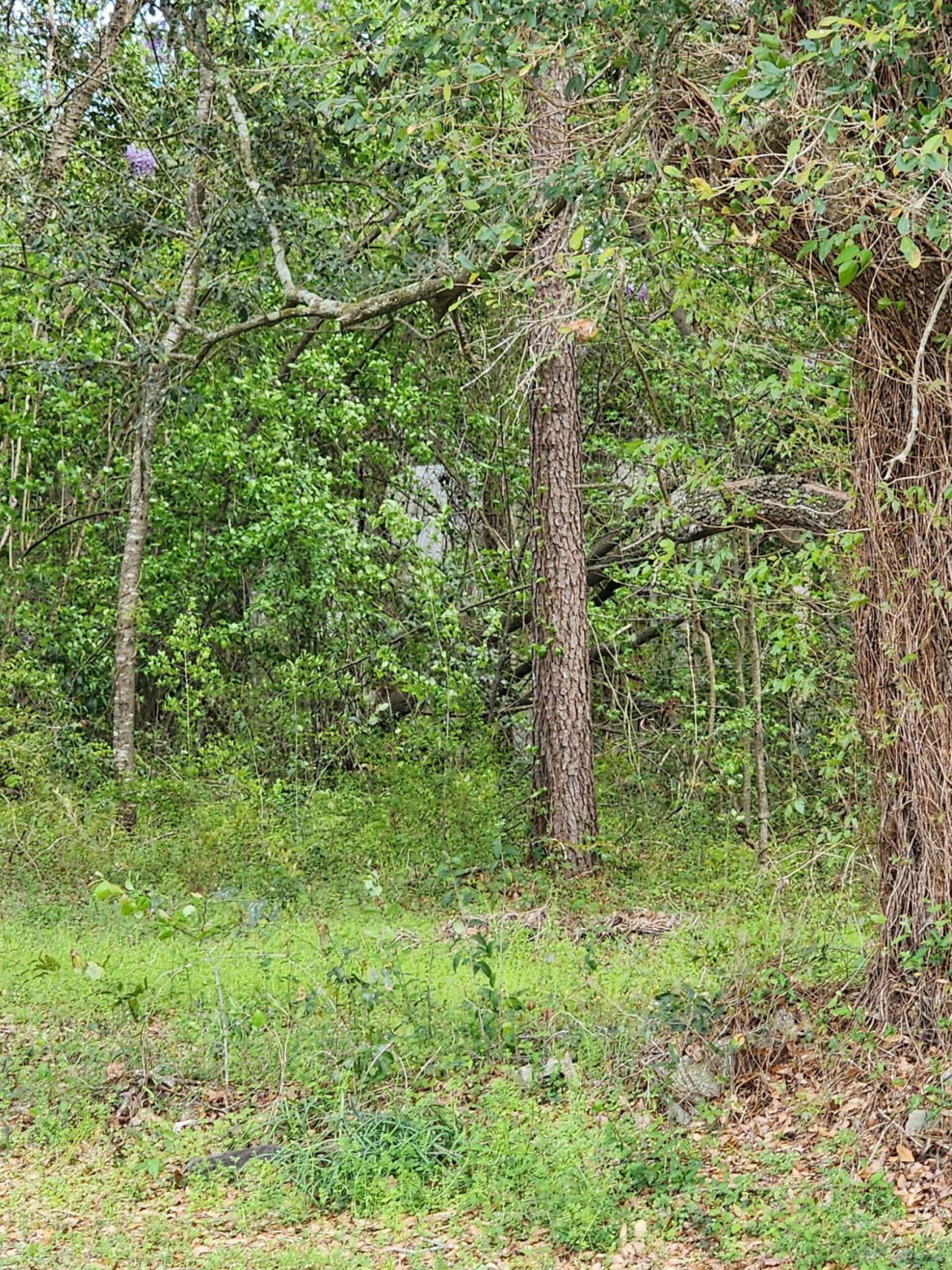 9387 Old Number Six Highway Photo 5