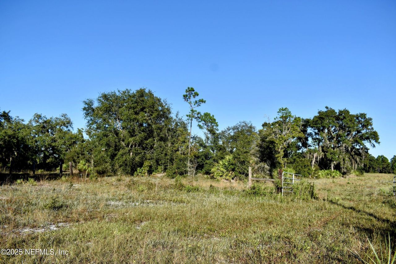 96 Bridle Drive, Interlachen, FL 32148 Photo