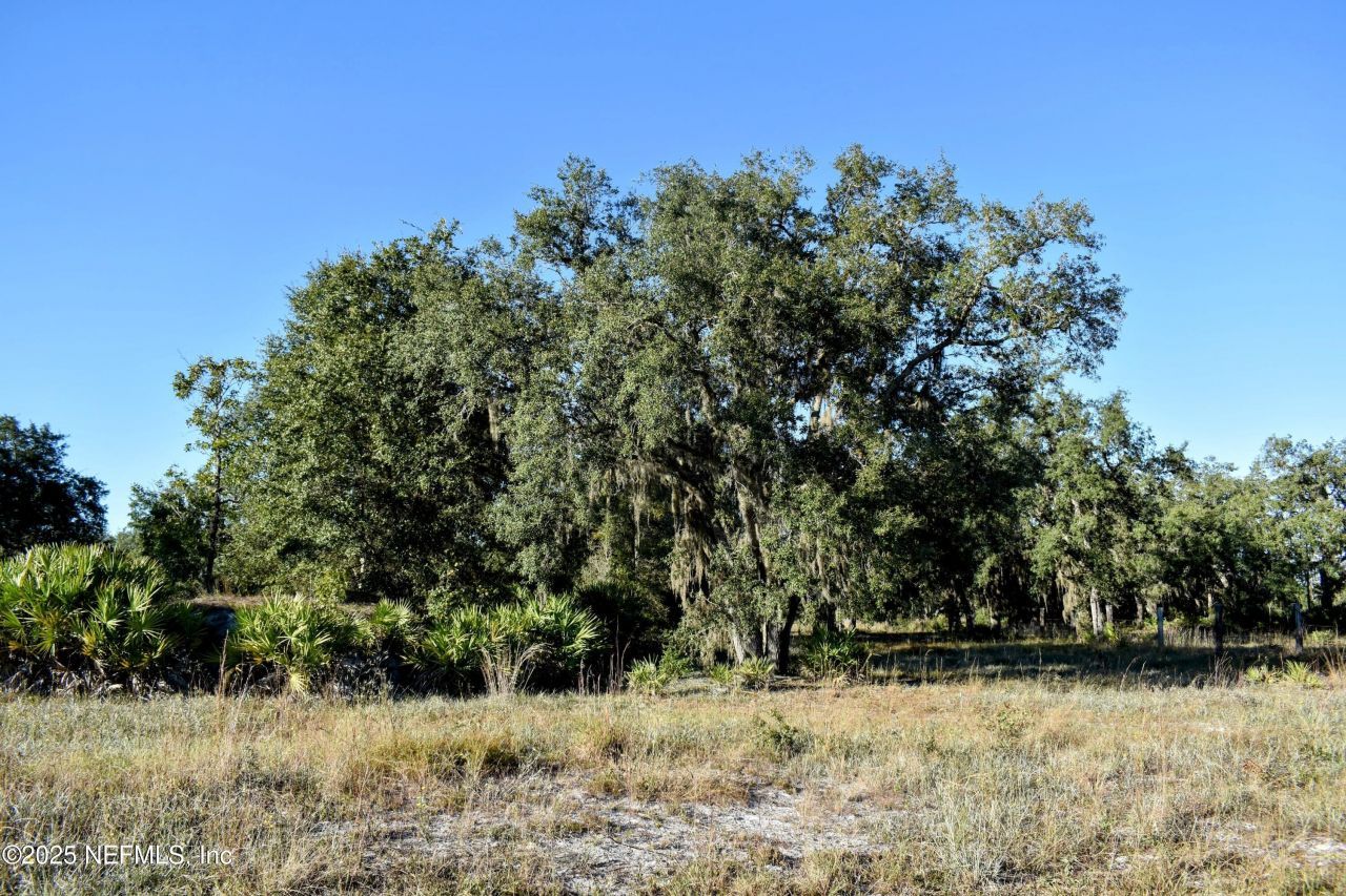 96 Bridle Drive, Interlachen, FL 32148 Photo