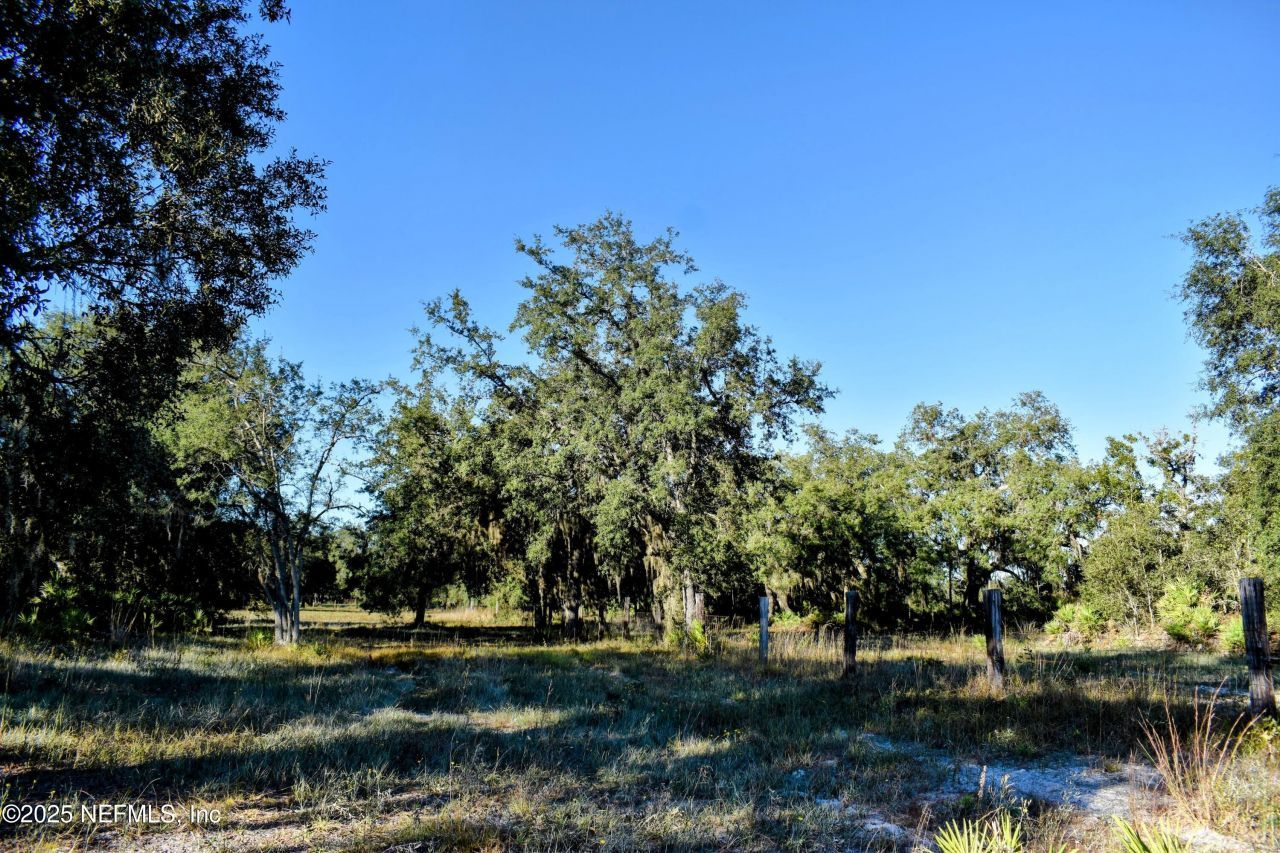 96 Bridle Drive, Interlachen, FL 32148 Photo