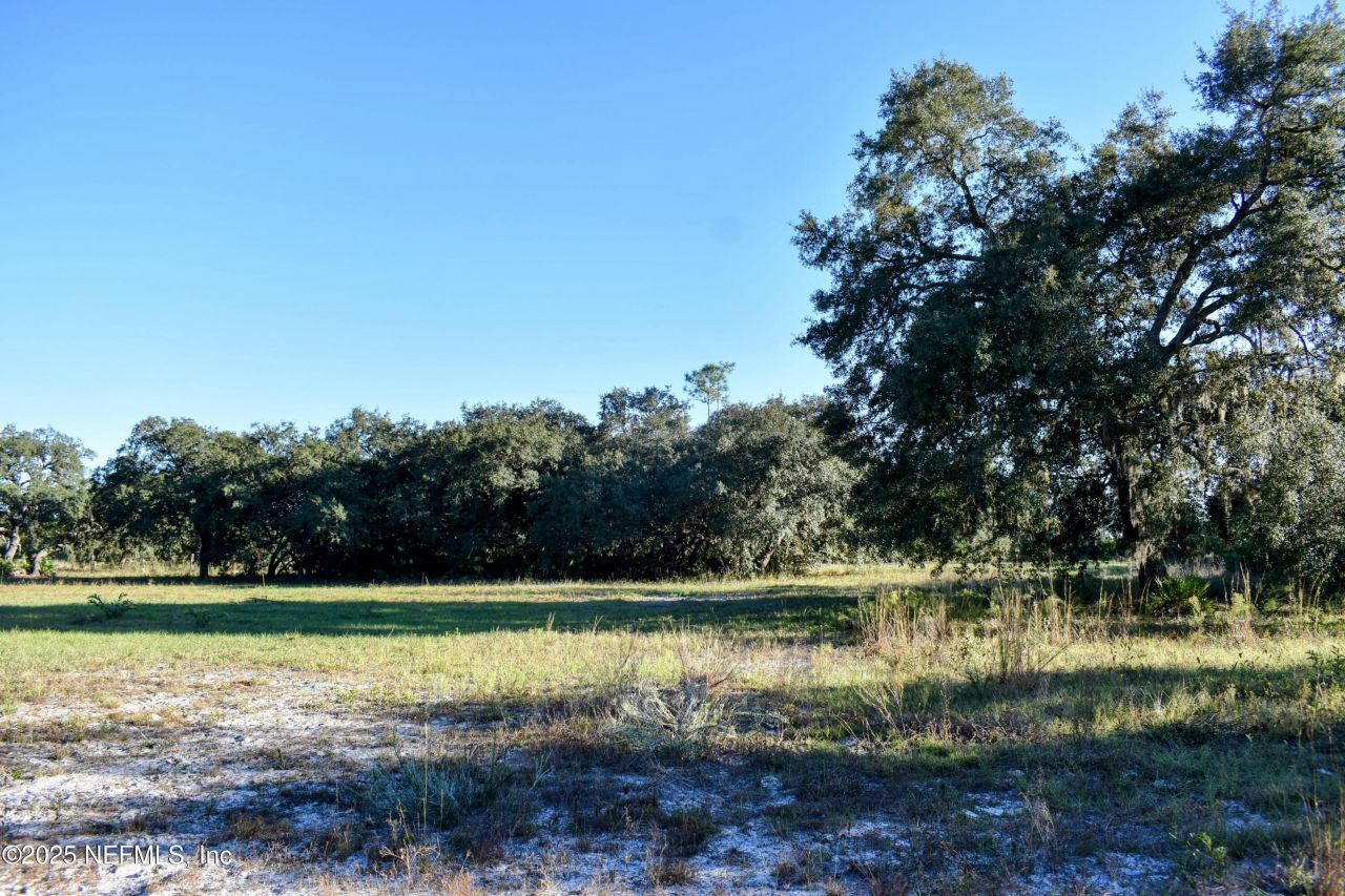 96 Bridle Drive, Interlachen, FL 32148 Photo