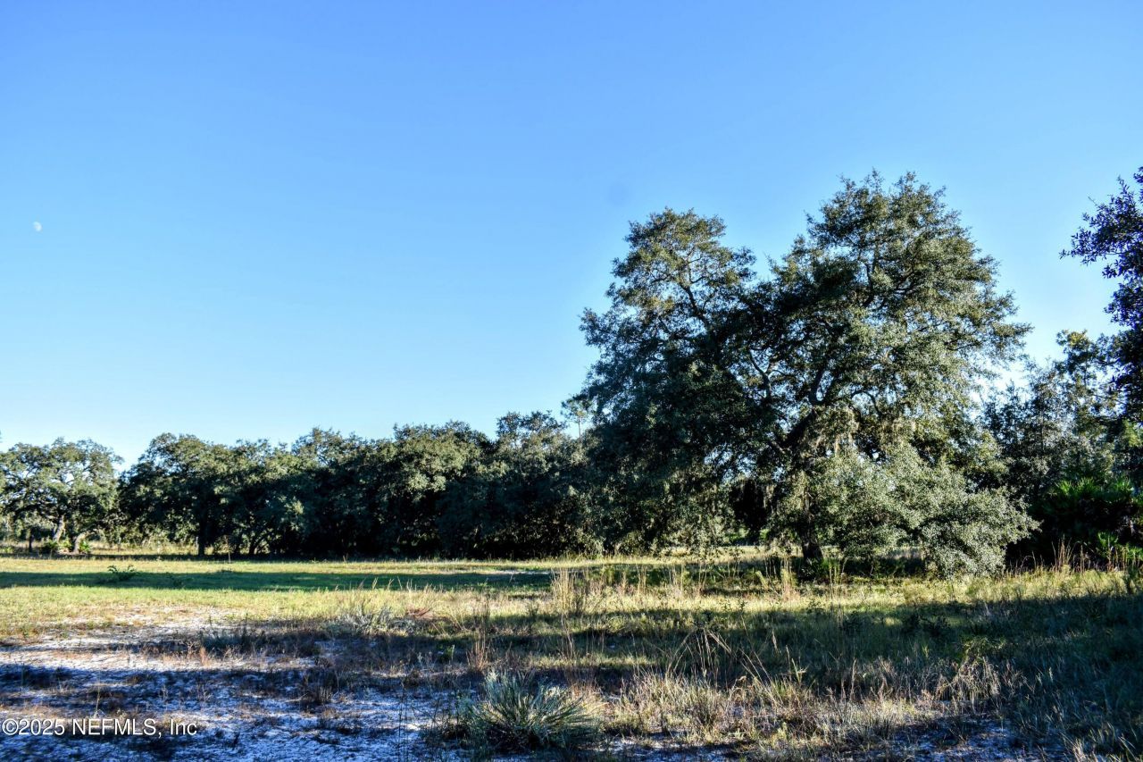 96 Bridle Drive, Interlachen, FL 32148 Photo