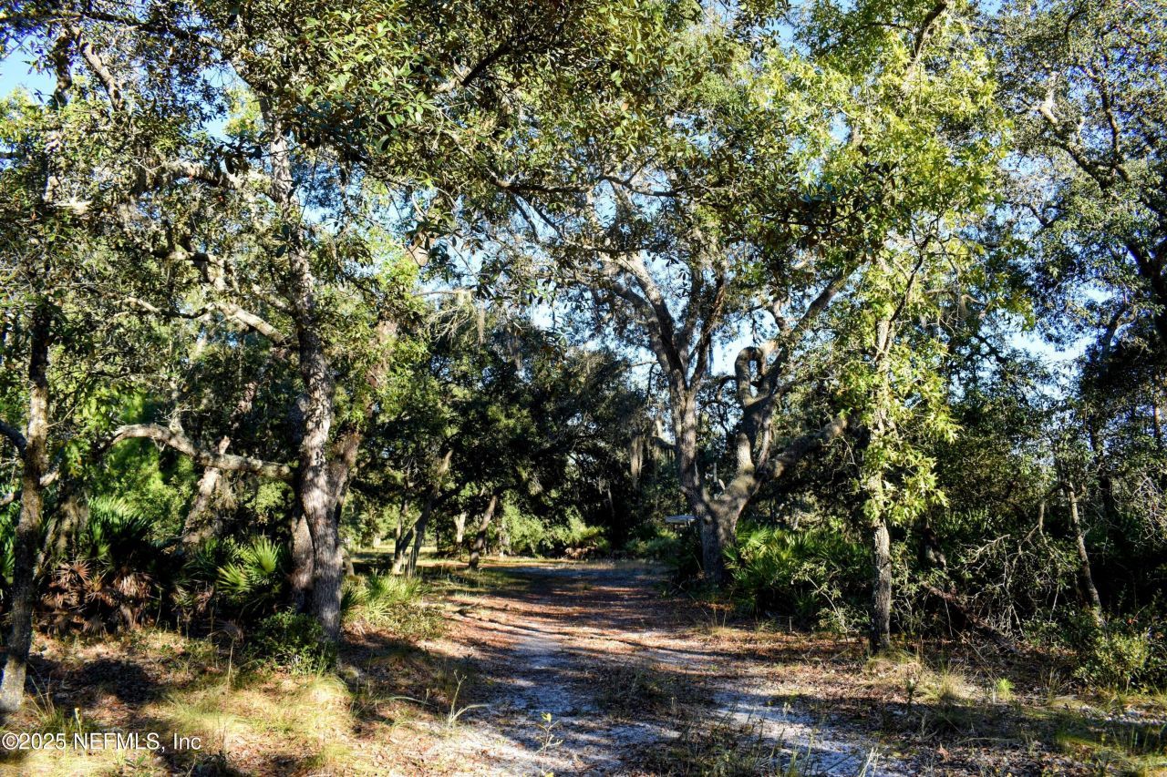 96 Bridle Drive, Interlachen, FL 32148 Photo